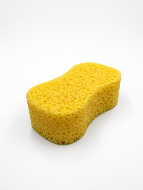 Gąbka